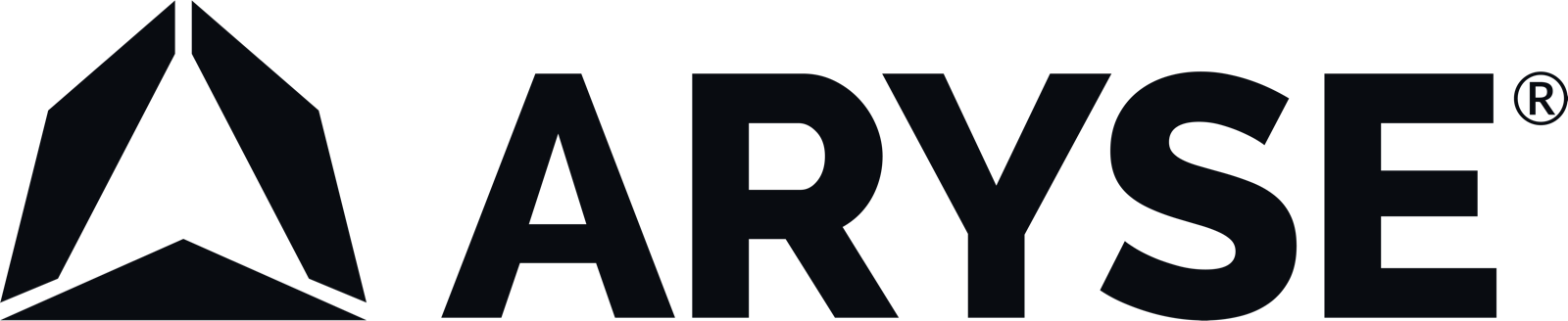 ARYSE ankle bracing logo, our official bracing partner